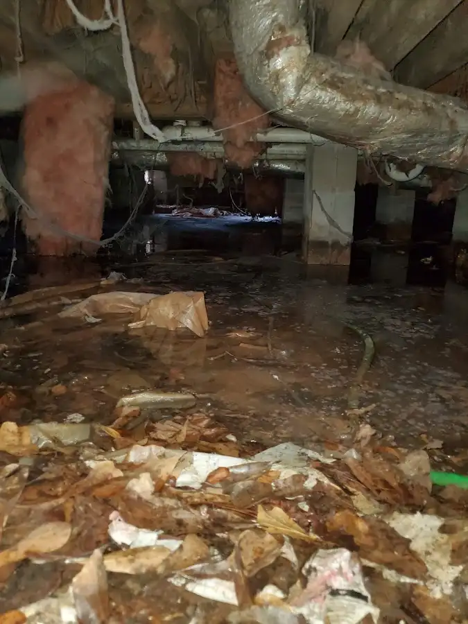 Crawl space flood assessment for Leak Detection & Repair in Sanger