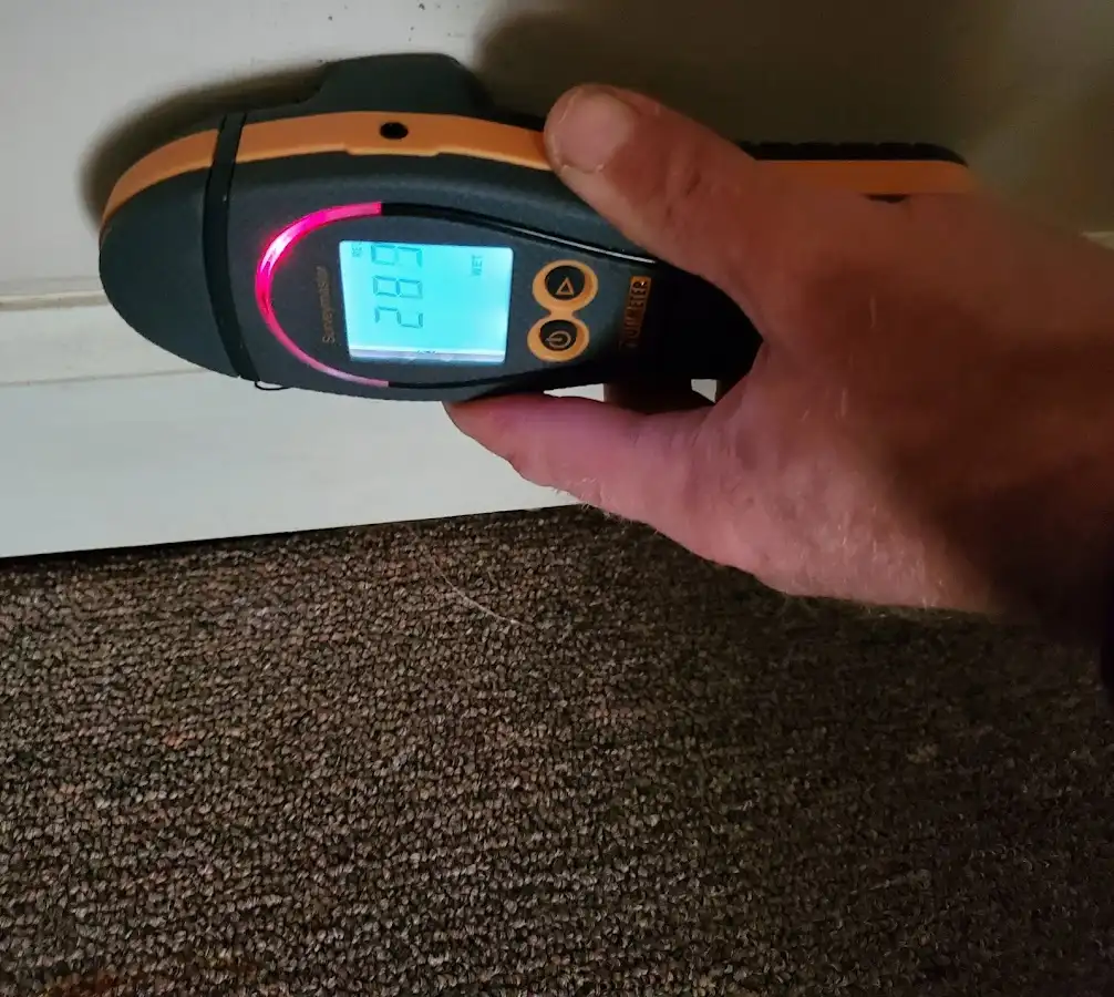 Moisture detection at baseboard during Storm Damage Restoration in Sanger